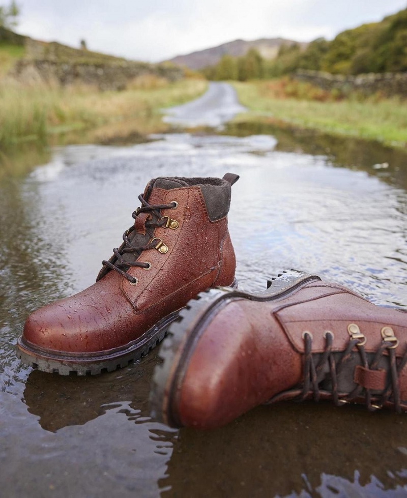 Botte Barbour Storr Homme Marron | France_BAR19742