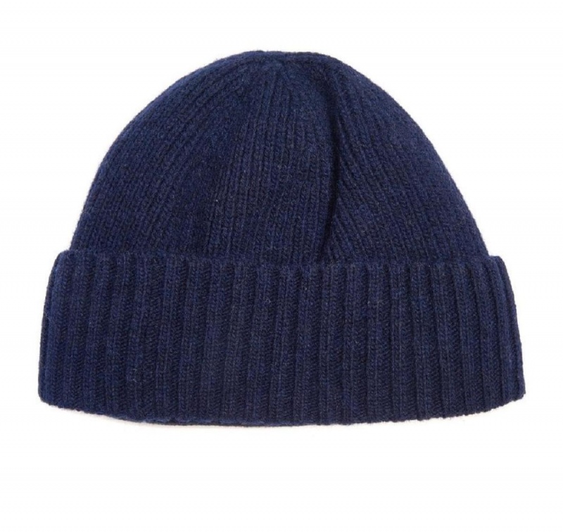 Chapeau Barbour Carlton Beanie Homme Bleu | France_BAR92747