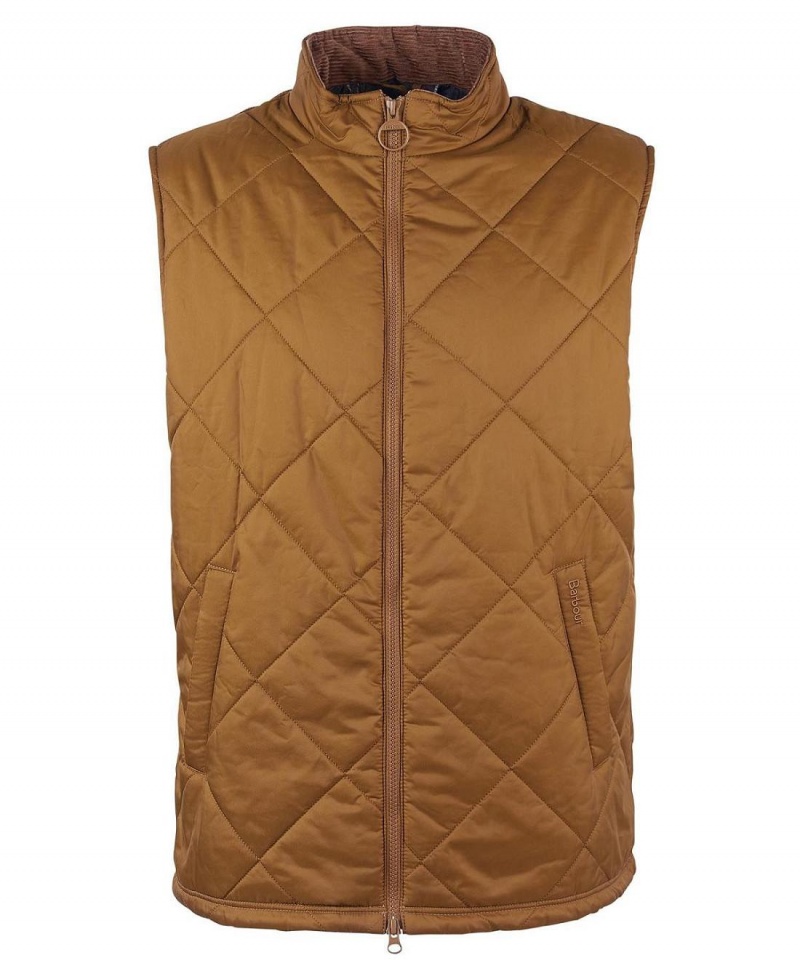 Vestes Barbour Finn Gilet Homme Marron | France_BAR42096