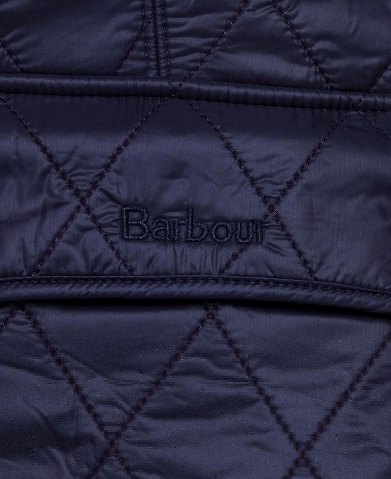 Vestes Barbour Wray Gilet Femme Bleu | France_BAR82593