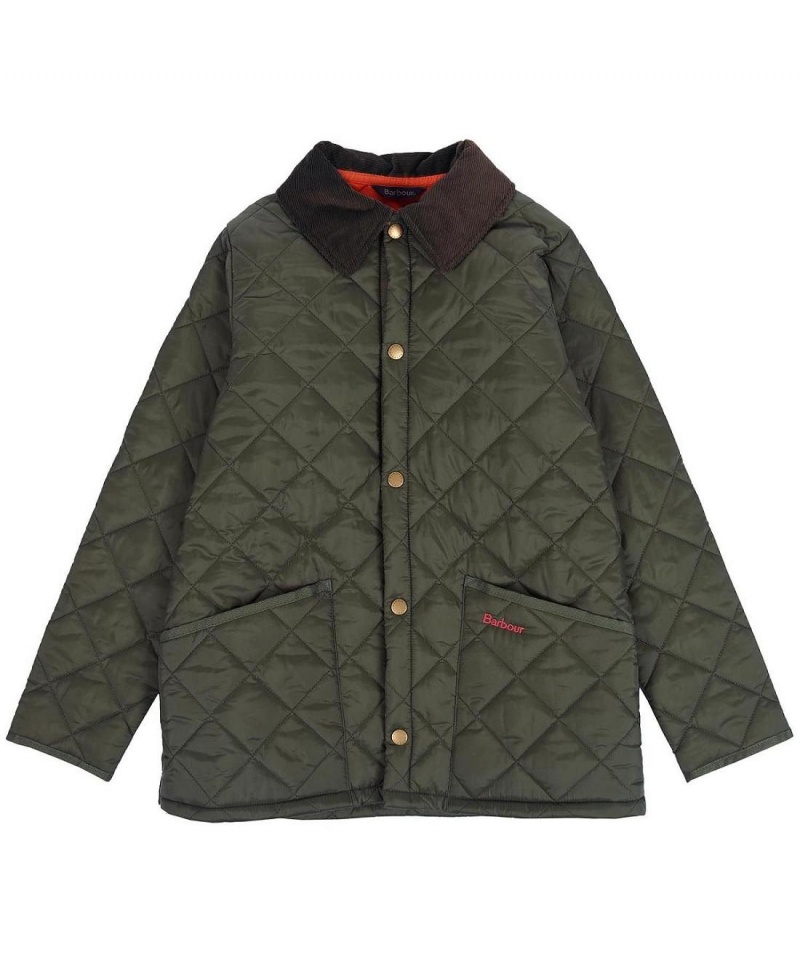 Vetement Barbour Boys' Liddesdale® Matelassé Jacket Enfant Vert Olive Rouge | France_BAR52705