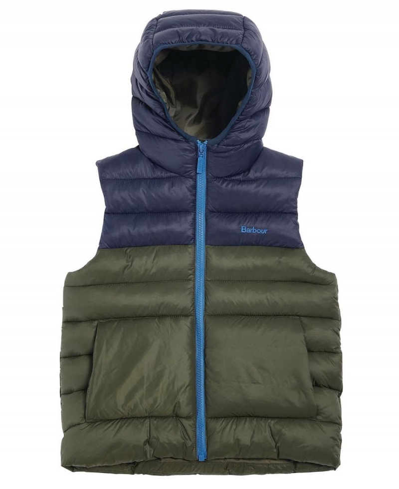 Vetement Barbour Boys' Roker Gilet Enfant Vert | France_BAR31878