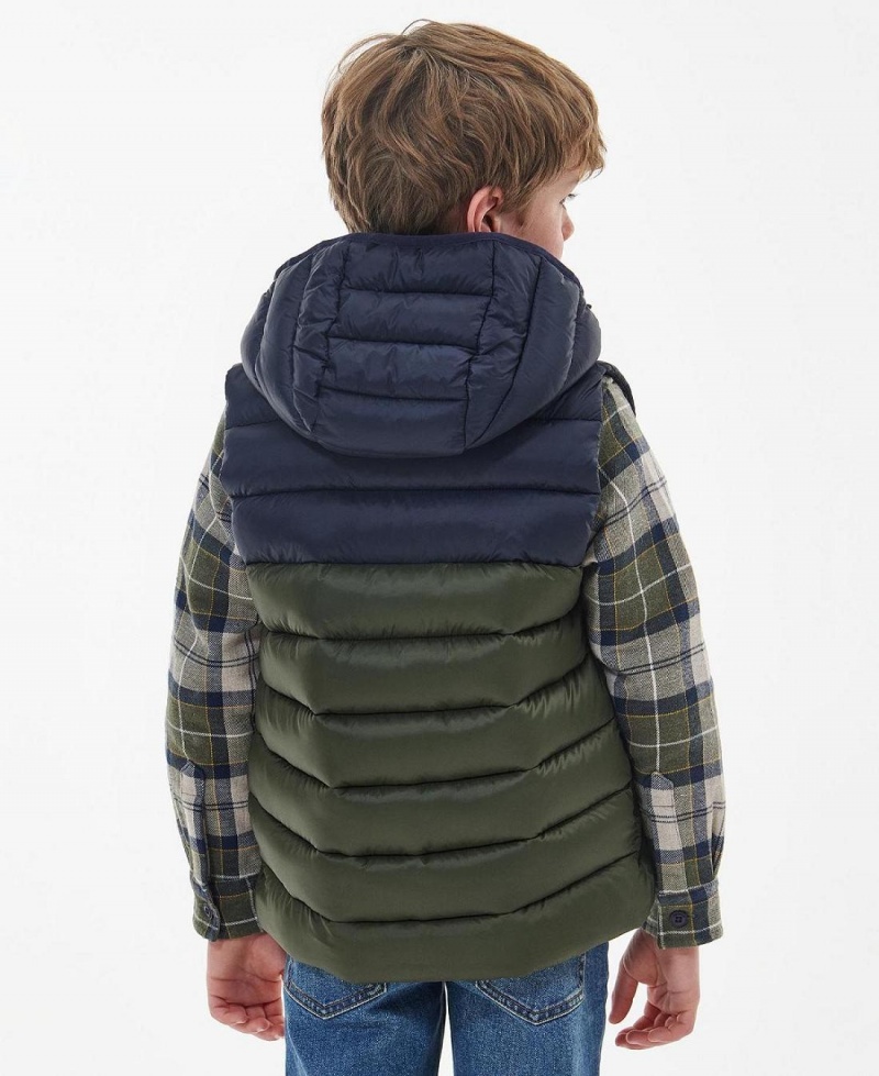 Vetement Barbour Boys' Roker Gilet Enfant Vert | France_BAR31878