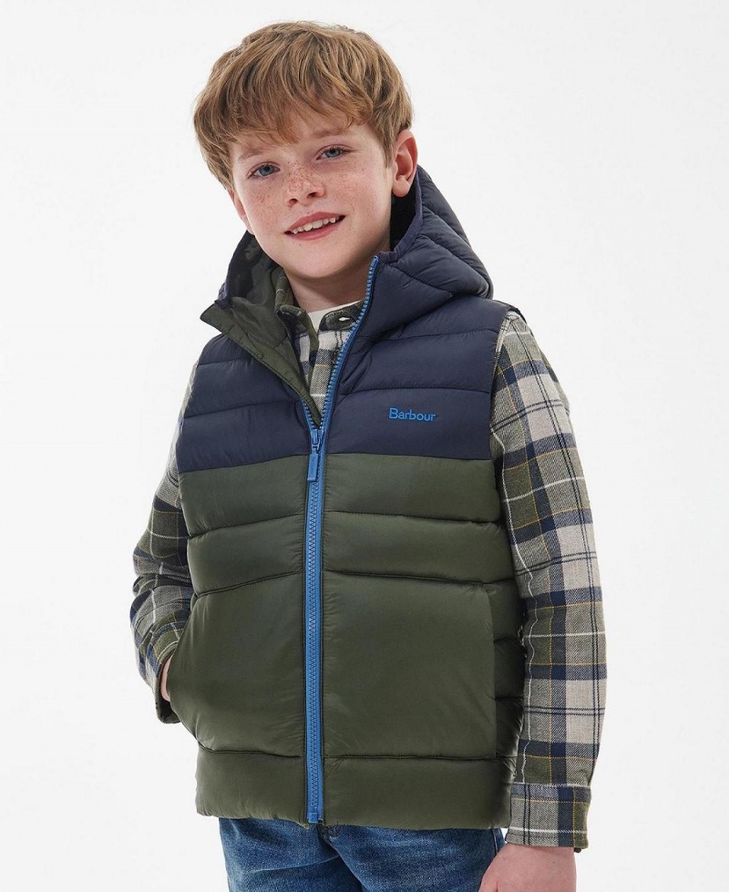 Vetement Barbour Boys' Roker Gilet Enfant Vert | France_BAR31878